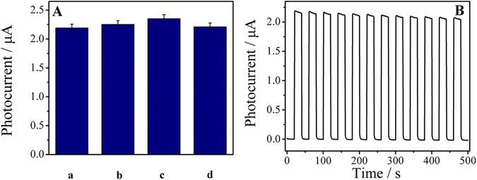 https://cdn.ncbi.nlm.nih.gov/pmc/blobs/9c20/5498603/910cb4472073/41598_2017_4924_Fig6_HTML.jpg