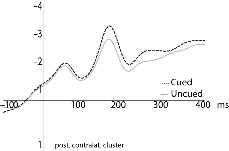 https://cdn.ncbi.nlm.nih.gov/pmc/blobs/9c21/2836756/378b77907f38/fnhum-04-014-g003.jpg