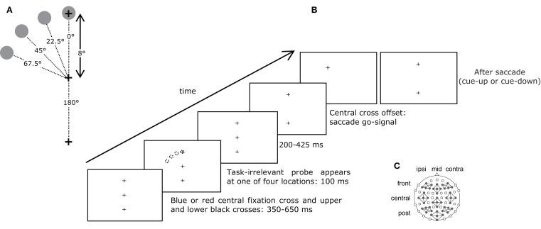 https://cdn.ncbi.nlm.nih.gov/pmc/blobs/9c21/2836756/af33617ad89d/fnhum-04-014-g001.jpg