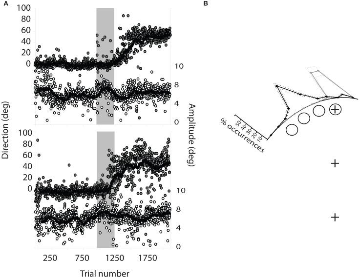 https://cdn.ncbi.nlm.nih.gov/pmc/blobs/9c21/2836756/fb92919bdb17/fnhum-04-014-g002.jpg