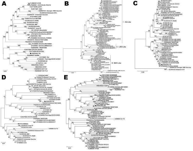 https://cdn.ncbi.nlm.nih.gov/pmc/blobs/9c21/3557894/02aa2d6f13df/12-0552-F1.jpg