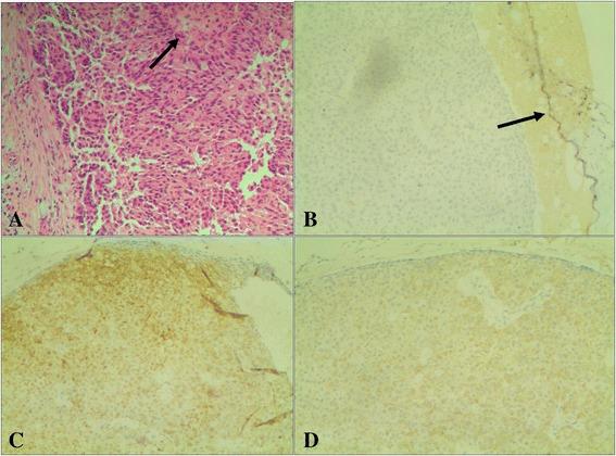 https://cdn.ncbi.nlm.nih.gov/pmc/blobs/9c21/5547522/2089dadeddf3/12885_2017_3518_Fig1_HTML.jpg