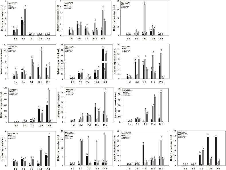 https://cdn.ncbi.nlm.nih.gov/pmc/blobs/9c22/11776435/011eda72a6df/fpls-15-1511713-g005.jpg
