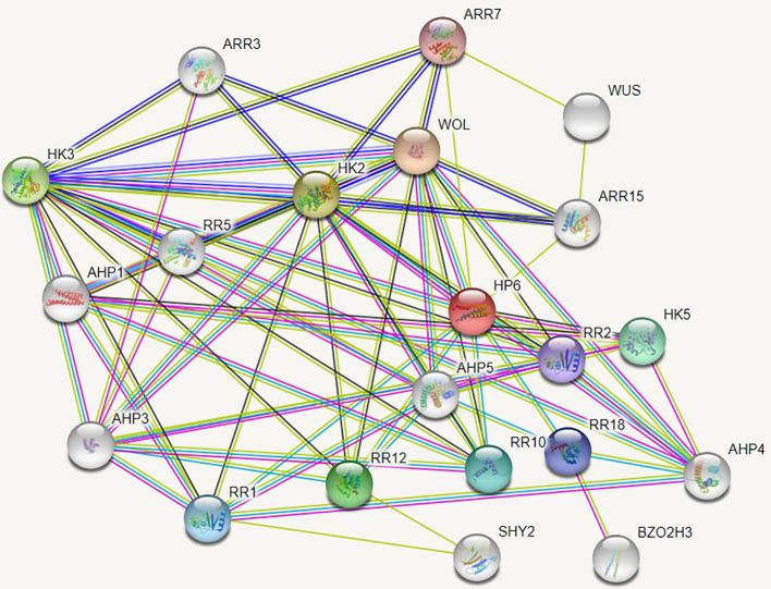 https://cdn.ncbi.nlm.nih.gov/pmc/blobs/9c22/11776435/39fc0f57a82c/fpls-15-1511713-g008.jpg