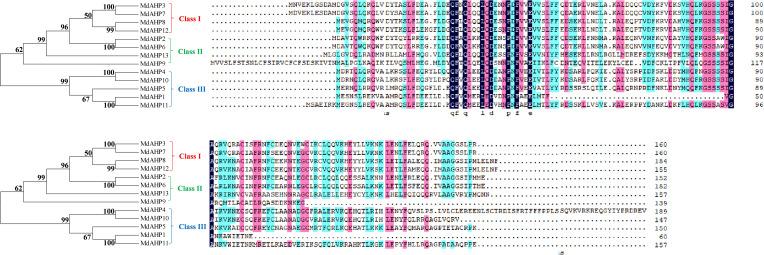 https://cdn.ncbi.nlm.nih.gov/pmc/blobs/9c22/11776435/9136329c2cd2/fpls-15-1511713-g001.jpg
