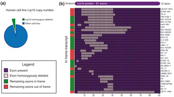 https://cdn.ncbi.nlm.nih.gov/pmc/blobs/9c22/3218656/7ceb8344c460/gb-2010-11-10-r100-5.jpg