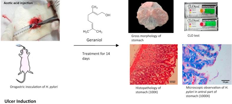 https://cdn.ncbi.nlm.nih.gov/pmc/blobs/9c23/6544613/0e8468b4ef51/fx1.jpg