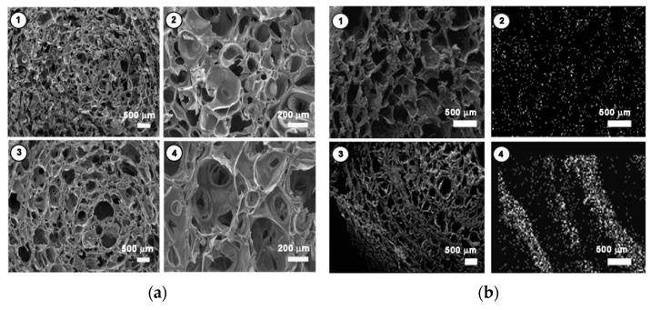 https://cdn.ncbi.nlm.nih.gov/pmc/blobs/9c23/6572119/d3694cbea62e/molecules-24-01931-g003.jpg