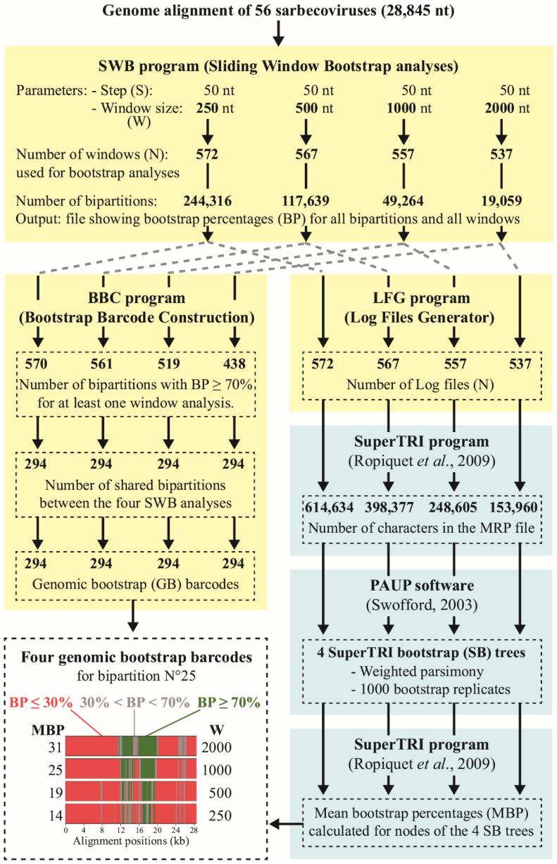 https://cdn.ncbi.nlm.nih.gov/pmc/blobs/9c24/8879460/911a3e09980c/viruses-14-00440-g001.jpg