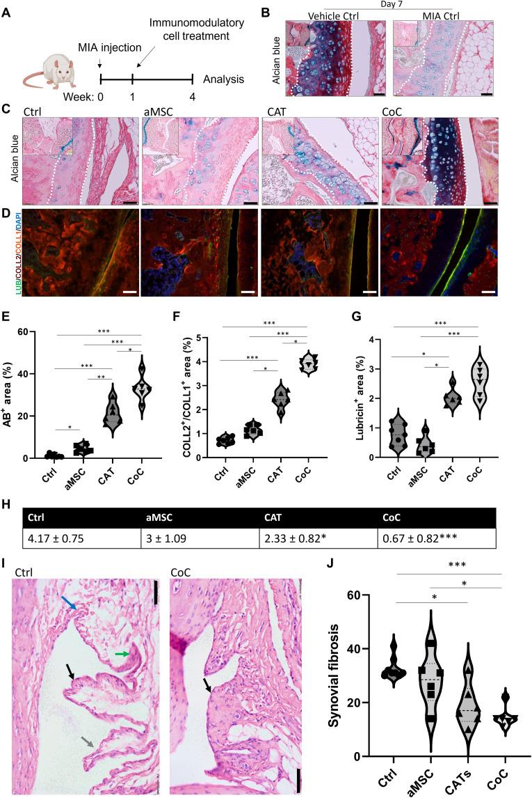 https://cdn.ncbi.nlm.nih.gov/pmc/blobs/9c26/10121162/a9a2cdd8411f/sciadv.ade4645-f6.jpg