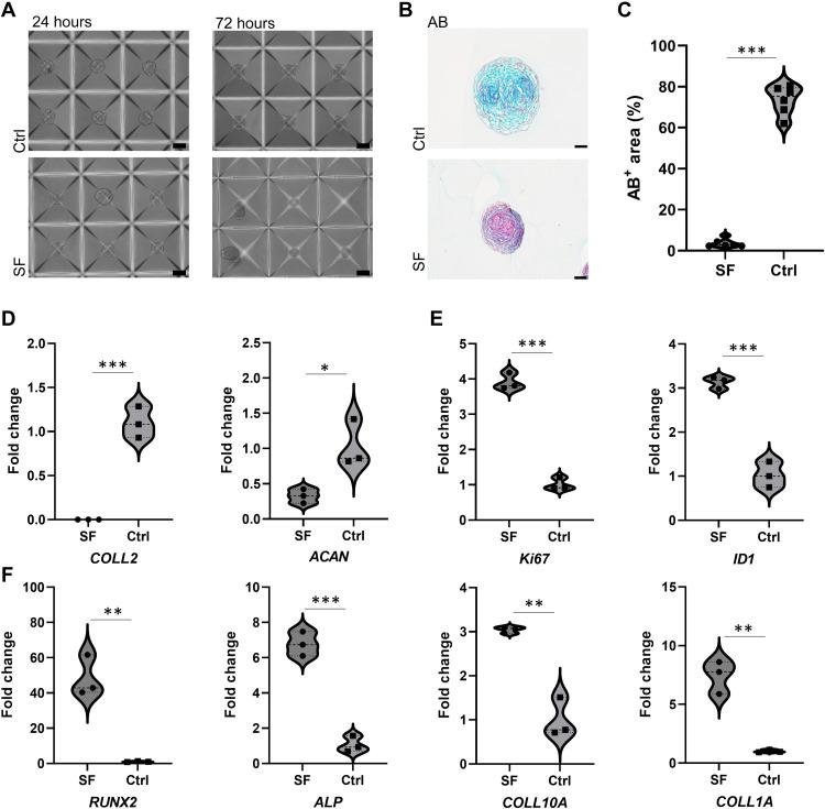https://cdn.ncbi.nlm.nih.gov/pmc/blobs/9c26/10121162/bbcb573d084e/sciadv.ade4645-f2.jpg