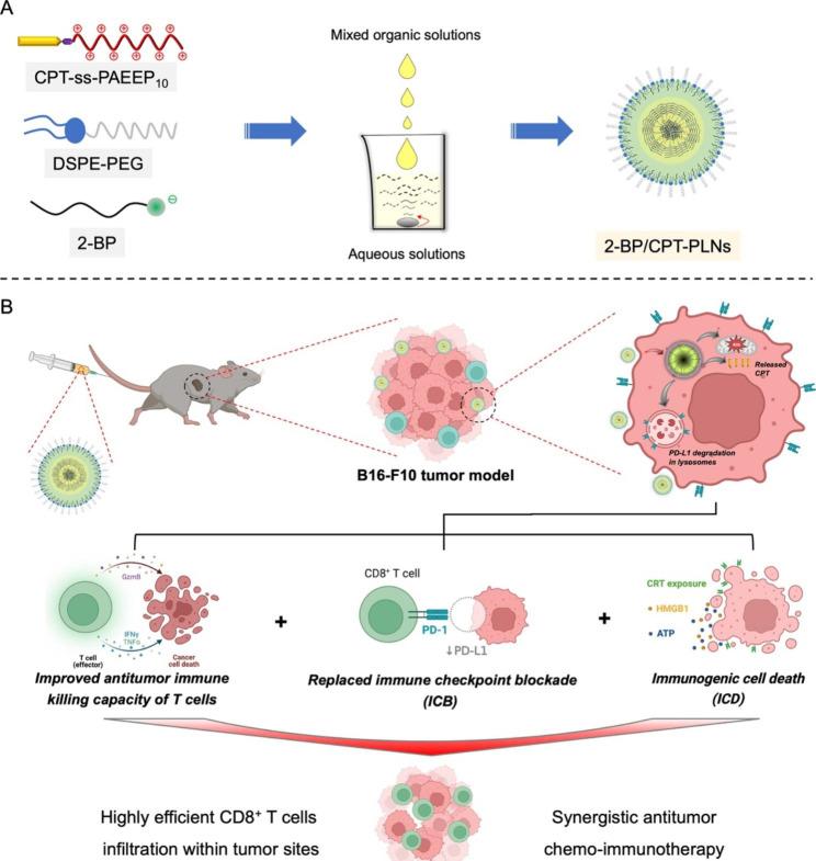 https://cdn.ncbi.nlm.nih.gov/pmc/blobs/9c26/10249277/017054973340/12951_2023_1950_Fig2_HTML.jpg