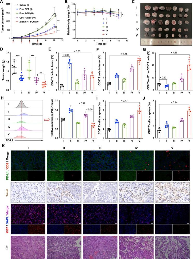 https://cdn.ncbi.nlm.nih.gov/pmc/blobs/9c26/10249277/387c894362e5/12951_2023_1950_Fig6_HTML.jpg