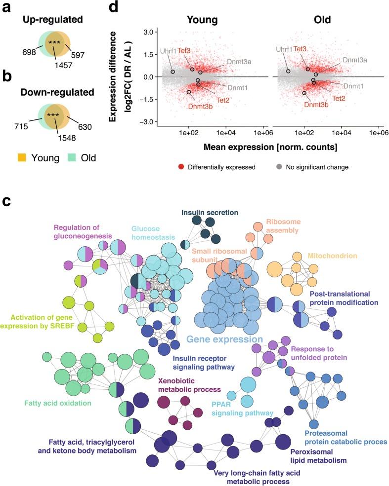 https://cdn.ncbi.nlm.nih.gov/pmc/blobs/9c26/5370449/acef200e699a/13059_2017_1187_Fig1_HTML.jpg