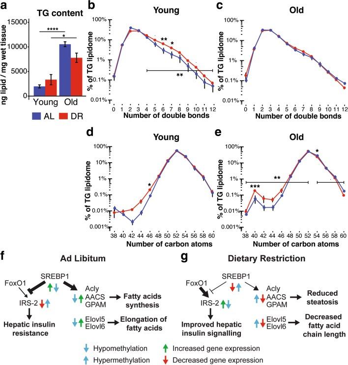 https://cdn.ncbi.nlm.nih.gov/pmc/blobs/9c26/5370449/ca120fd902f6/13059_2017_1187_Fig6_HTML.jpg