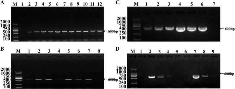 https://cdn.ncbi.nlm.nih.gov/pmc/blobs/9c27/6458741/0310c2e30fe9/12917_2019_1858_Fig1_HTML.jpg