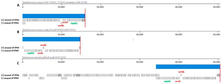 https://cdn.ncbi.nlm.nih.gov/pmc/blobs/9c29/9369149/6b541330bb62/ijms-23-08755-g003.jpg