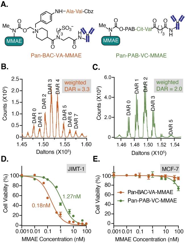 https://cdn.ncbi.nlm.nih.gov/pmc/blobs/9c2c/11795738/7e903de3849b/ANIE-64-e202417651-g006.jpg