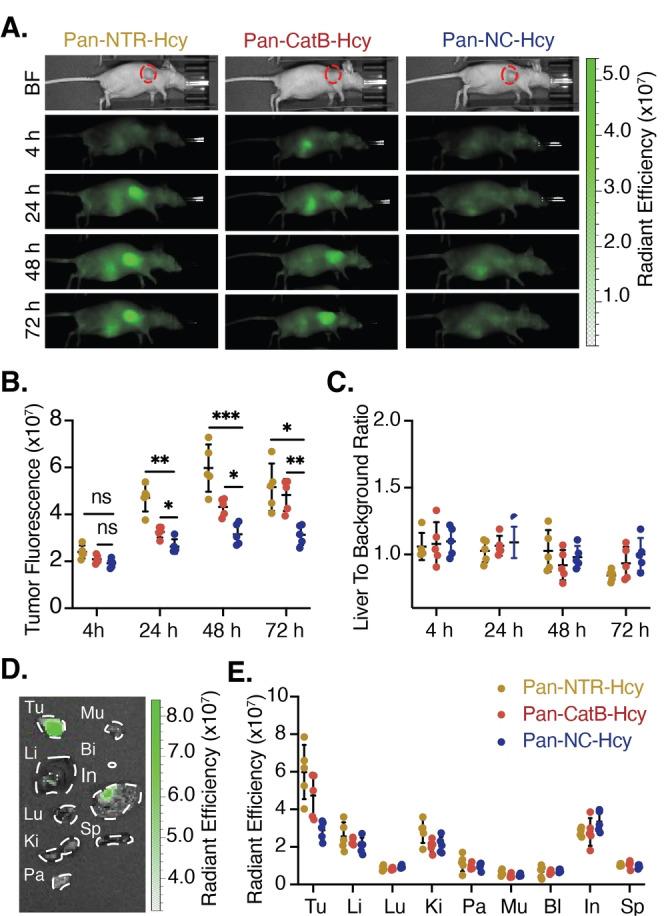 https://cdn.ncbi.nlm.nih.gov/pmc/blobs/9c2c/11795738/a87491b5dc7b/ANIE-64-e202417651-g004.jpg