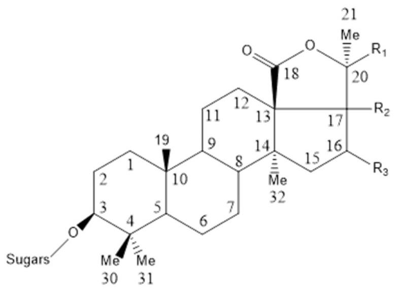 https://cdn.ncbi.nlm.nih.gov/pmc/blobs/9c2e/7551282/c9a654eabecf/marinedrugs-18-00440-g007.jpg