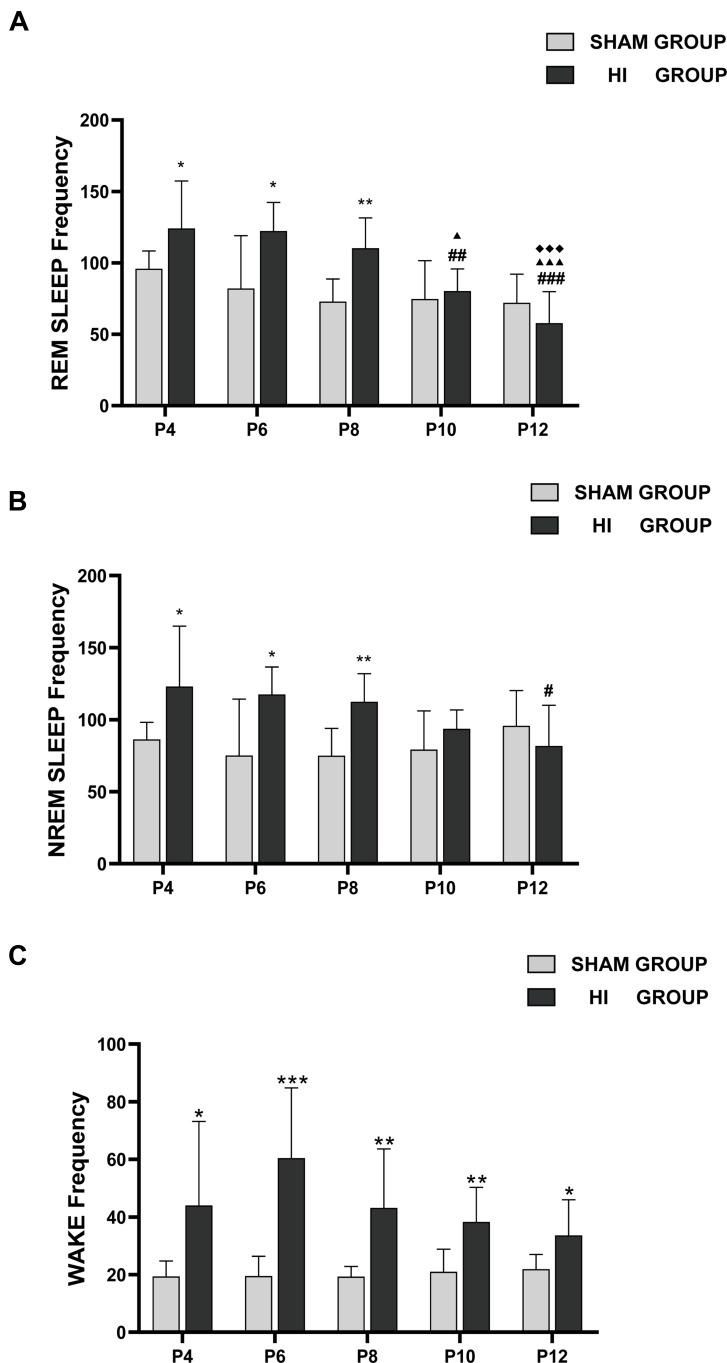 https://cdn.ncbi.nlm.nih.gov/pmc/blobs/9c33/8898167/6c4521de79cf/NSS-14-335-g0005.jpg