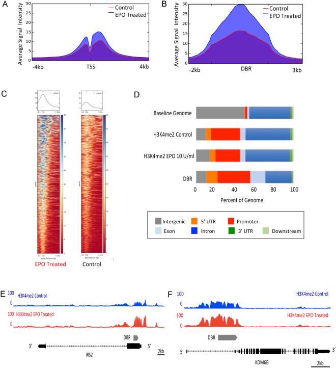 https://cdn.ncbi.nlm.nih.gov/pmc/blobs/9c34/5662632/134f6a21548a/41598_2017_14366_Fig1_HTML.jpg
