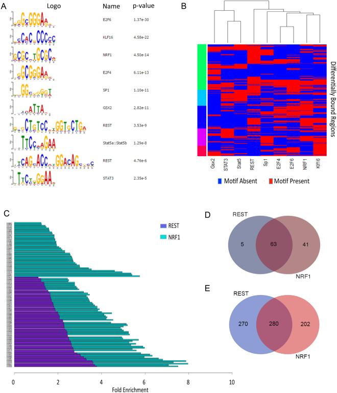 https://cdn.ncbi.nlm.nih.gov/pmc/blobs/9c34/5662632/83ba617a04a9/41598_2017_14366_Fig4_HTML.jpg
