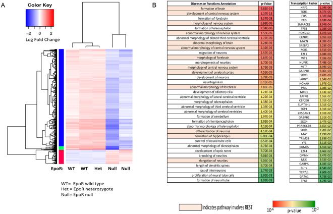 https://cdn.ncbi.nlm.nih.gov/pmc/blobs/9c34/5662632/af921d68a6e5/41598_2017_14366_Fig6_HTML.jpg