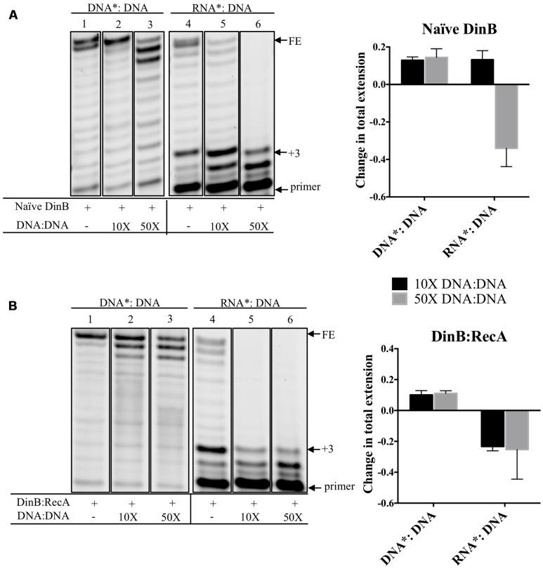 https://cdn.ncbi.nlm.nih.gov/pmc/blobs/9c36/5331060/2498974e7e22/fmicb-08-00288-g003.jpg