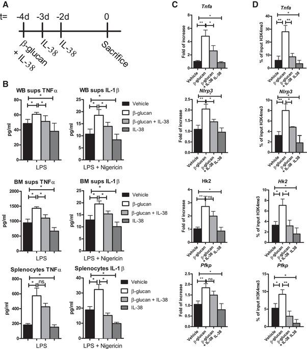 https://cdn.ncbi.nlm.nih.gov/pmc/blobs/9c37/8596540/93ec0d32224f/JLB-110-907-g005.jpg