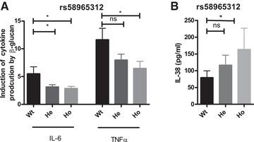https://cdn.ncbi.nlm.nih.gov/pmc/blobs/9c37/8596540/d8619f4980f3/JLB-110-907-g003.jpg