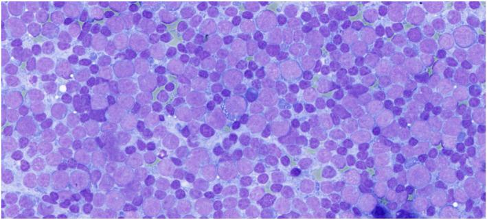https://cdn.ncbi.nlm.nih.gov/pmc/blobs/9c39/12377497/a571fd8c020f/CNCY-133-0-g006.jpg