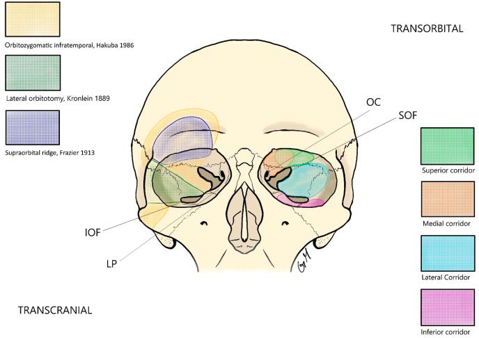 https://cdn.ncbi.nlm.nih.gov/pmc/blobs/9c3a/10500473/71845b05c99f/gr1.jpg