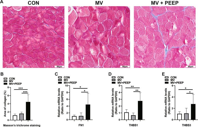 https://cdn.ncbi.nlm.nih.gov/pmc/blobs/9c3c/9926671/147c1178907c/12931_2023_2356_Fig3_HTML.jpg