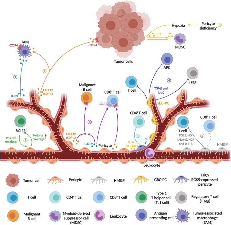 https://cdn.ncbi.nlm.nih.gov/pmc/blobs/9c3e/8232225/fbcc9d1b1da6/fcell-09-676342-g001.jpg
