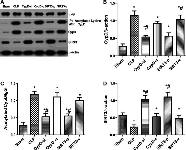 https://cdn.ncbi.nlm.nih.gov/pmc/blobs/9c3f/11482218/ac883cee9a36/10571_2017_476_Fig5_HTML.jpg