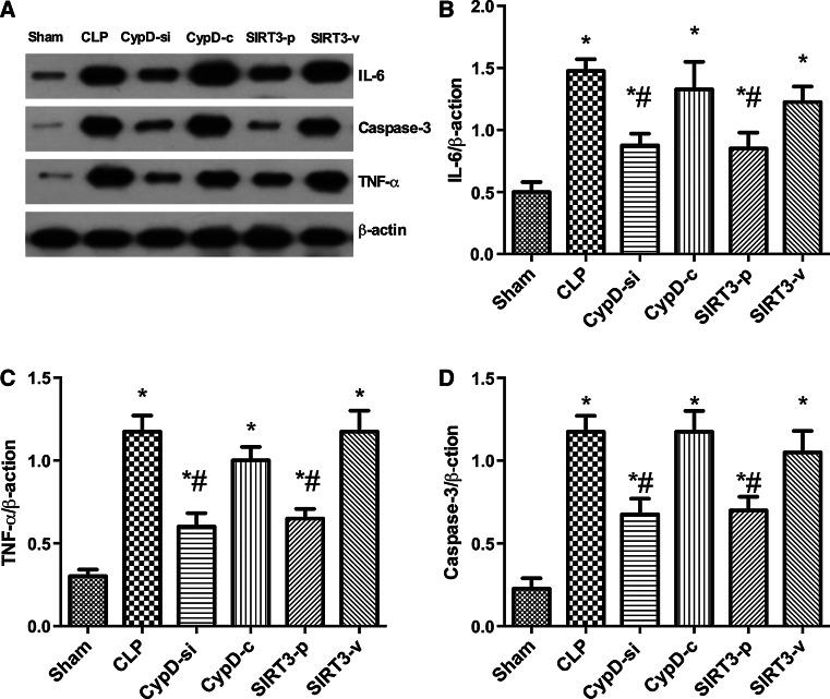 https://cdn.ncbi.nlm.nih.gov/pmc/blobs/9c3f/11482218/c01ffc791f48/10571_2017_476_Fig4_HTML.jpg