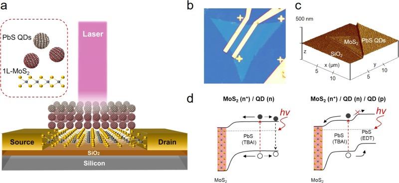 https://cdn.ncbi.nlm.nih.gov/pmc/blobs/9c41/6483318/7d1ec3d75dc3/am-2018-14408w_0001.jpg