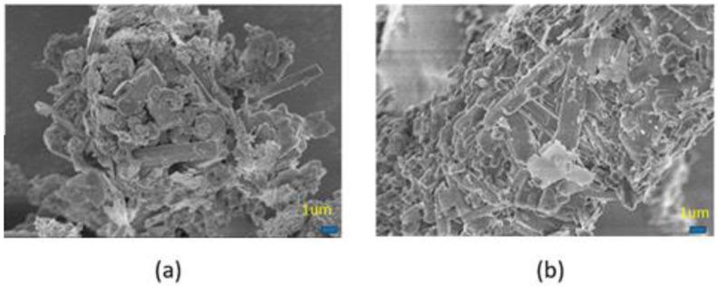https://cdn.ncbi.nlm.nih.gov/pmc/blobs/9c41/9369486/5aef3f8a969a/materials-15-05317-g008.jpg