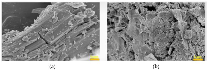 https://cdn.ncbi.nlm.nih.gov/pmc/blobs/9c41/9369486/c56fc800f92b/materials-15-05317-g012.jpg