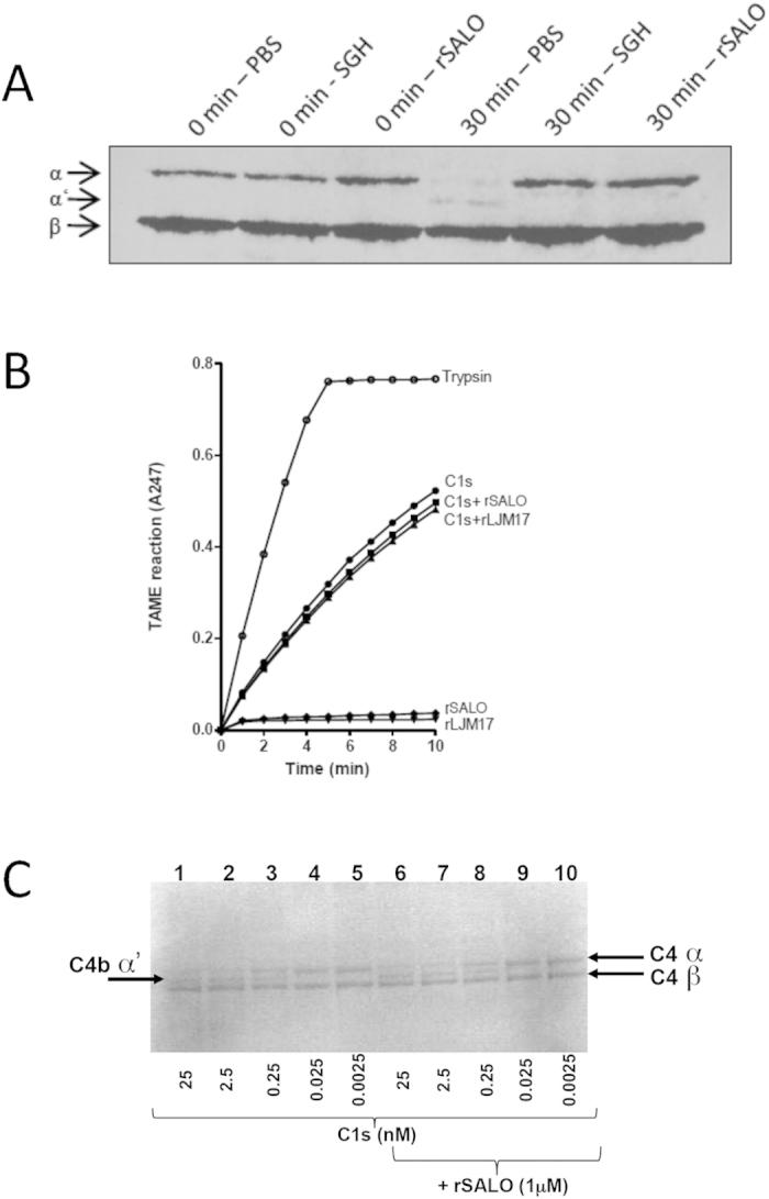 https://cdn.ncbi.nlm.nih.gov/pmc/blobs/9c47/4725370/74dcecdca49c/srep19300-f5.jpg