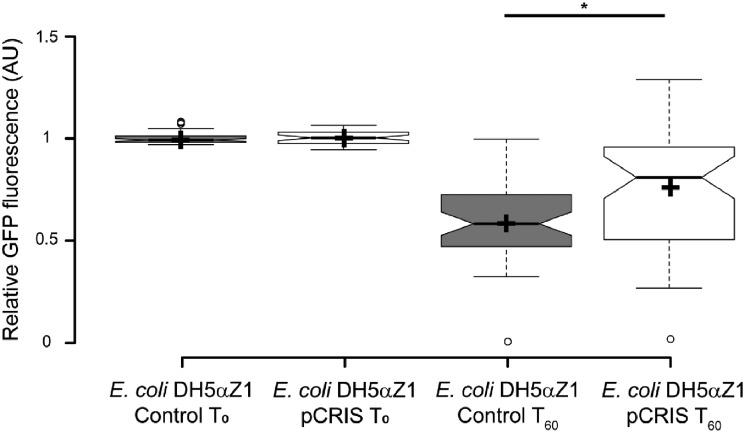 https://cdn.ncbi.nlm.nih.gov/pmc/blobs/9c47/7445761/2e40ff62fb77/ysz008f5.jpg
