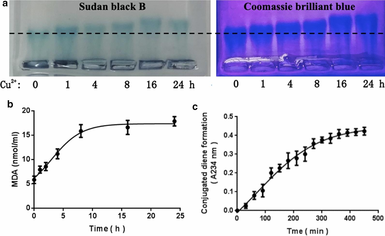 https://cdn.ncbi.nlm.nih.gov/pmc/blobs/9c4d/7664080/a9ed5a933949/12951_2020_727_Fig1_HTML.jpg