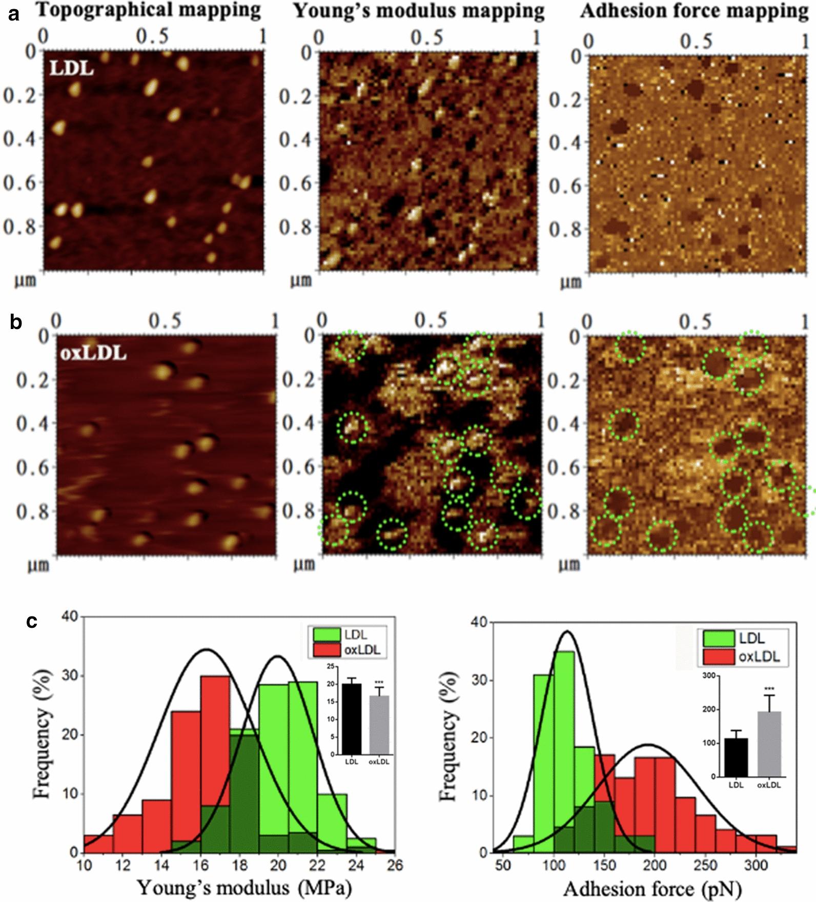 https://cdn.ncbi.nlm.nih.gov/pmc/blobs/9c4d/7664080/bc107c8832fa/12951_2020_727_Fig3_HTML.jpg