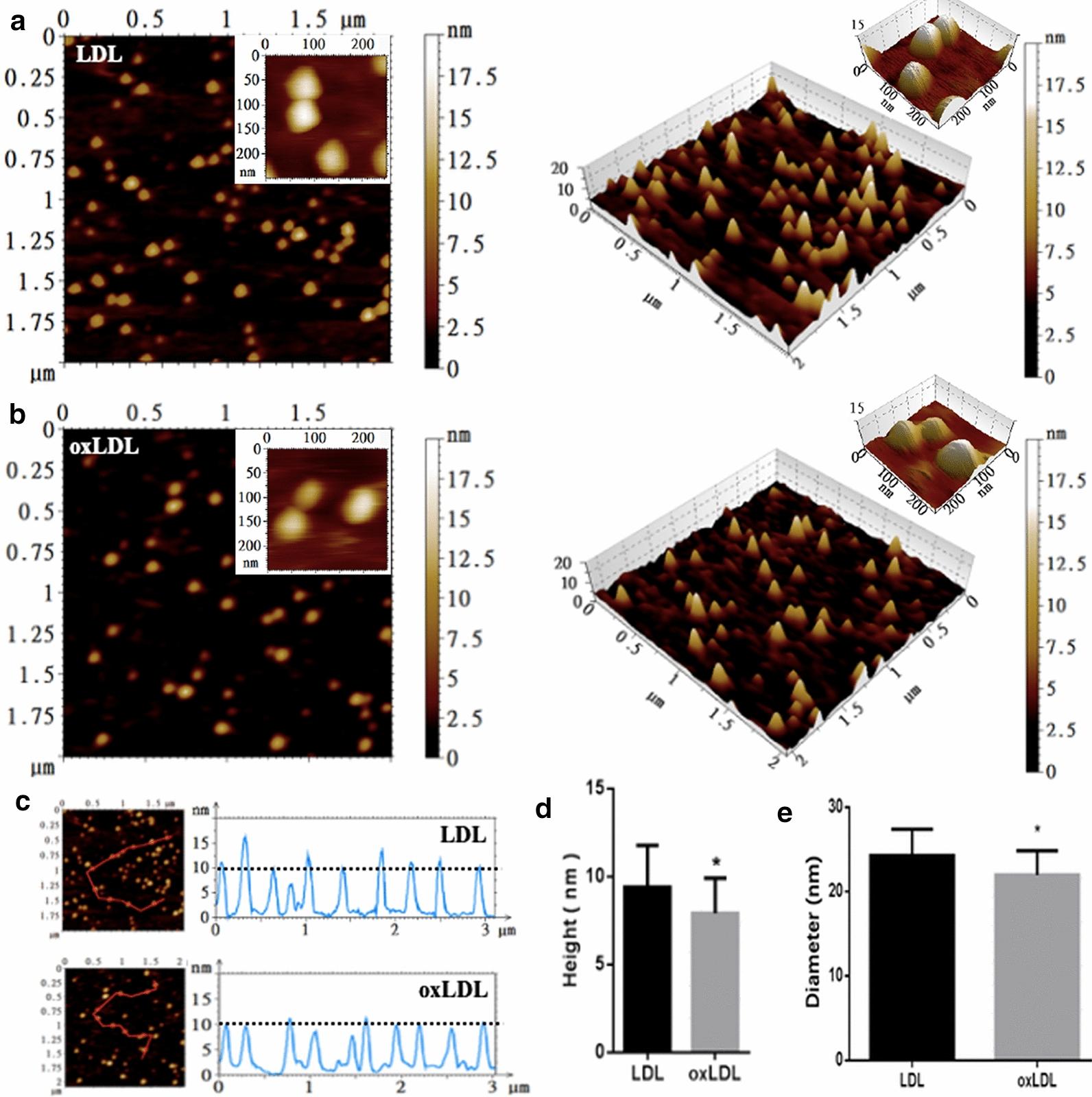 https://cdn.ncbi.nlm.nih.gov/pmc/blobs/9c4d/7664080/c67f1f46ef79/12951_2020_727_Fig2_HTML.jpg
