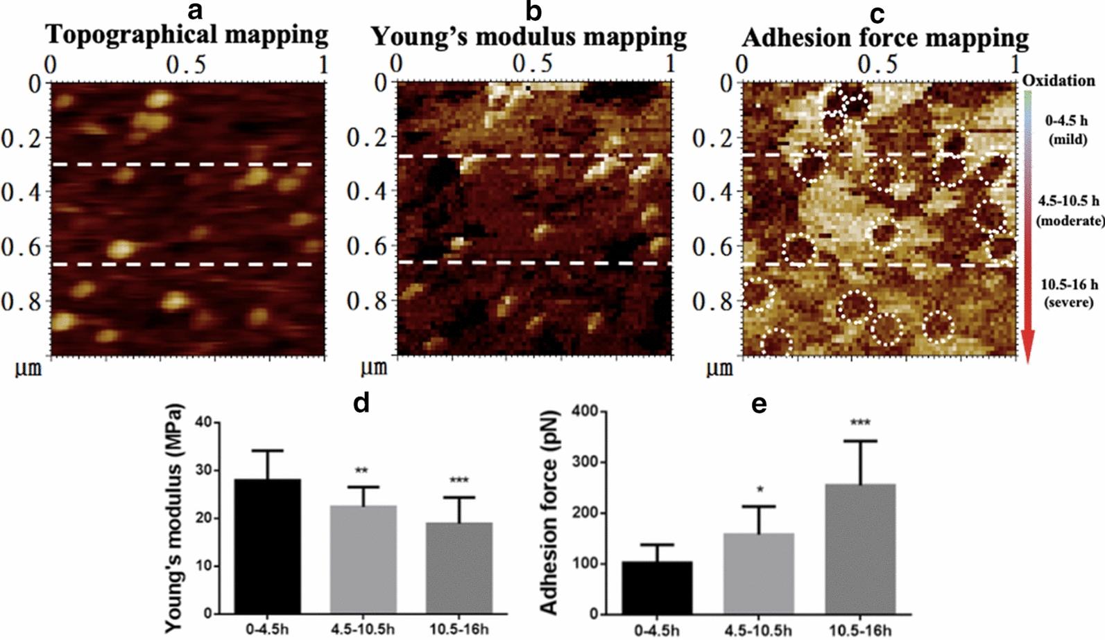 https://cdn.ncbi.nlm.nih.gov/pmc/blobs/9c4d/7664080/dab18bb7b6ec/12951_2020_727_Fig4_HTML.jpg