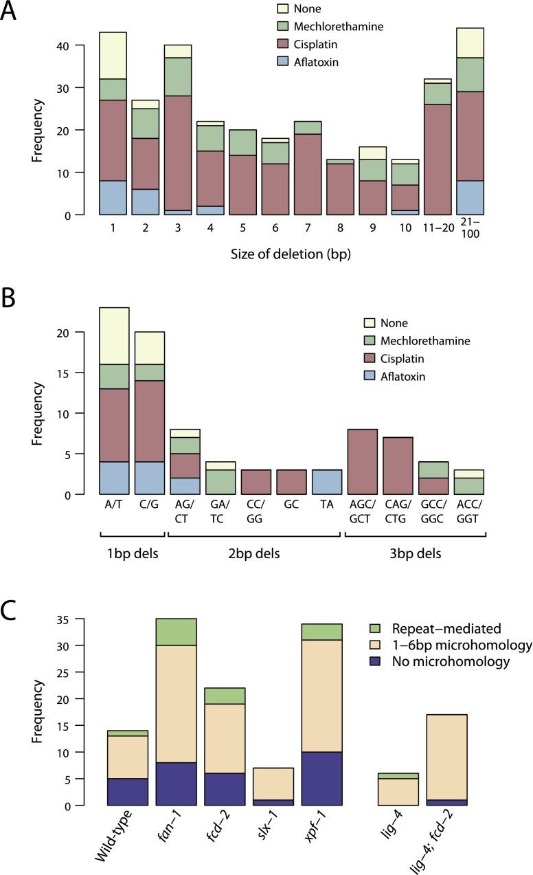 https://cdn.ncbi.nlm.nih.gov/pmc/blobs/9c4e/4199376/7dd33d255e32/1624fig6.jpg