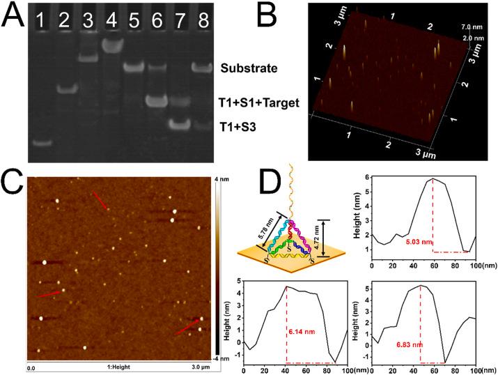 https://cdn.ncbi.nlm.nih.gov/pmc/blobs/9c50/7817442/0187abfdb82e/gr1_lrg.jpg