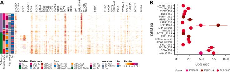 https://cdn.ncbi.nlm.nih.gov/pmc/blobs/9c51/10023728/f1b503ee84b1/BLOOD_BLD-2022-016534-gr5.jpg