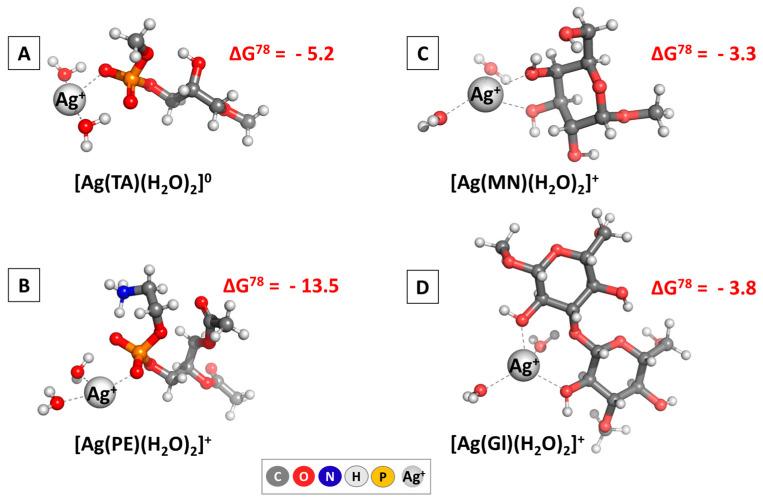 https://cdn.ncbi.nlm.nih.gov/pmc/blobs/9c51/12157222/8ba21fcc9fc1/nanomaterials-15-00815-g003.jpg